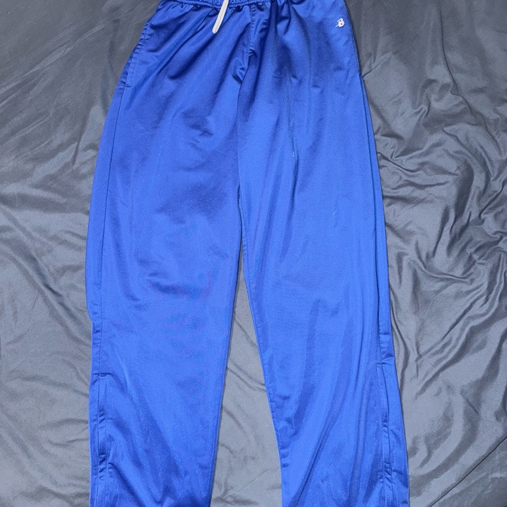 Champion Blue Athletic Pants